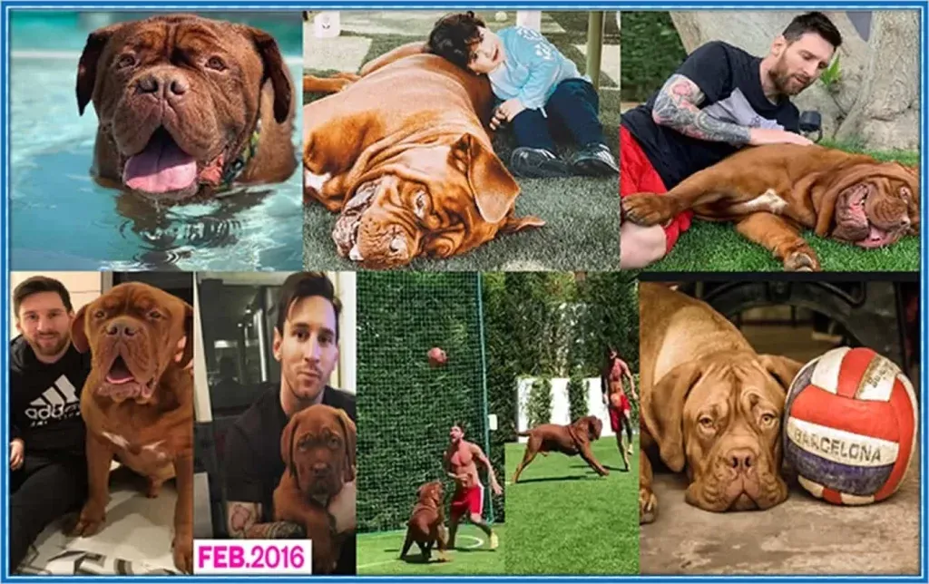 Lionel Messi Childhood Story Plus Datos no contados de la biografía