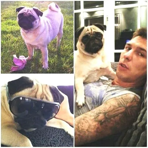 Mario Mandzukic Childhood Story Plus Untold Biography Facts