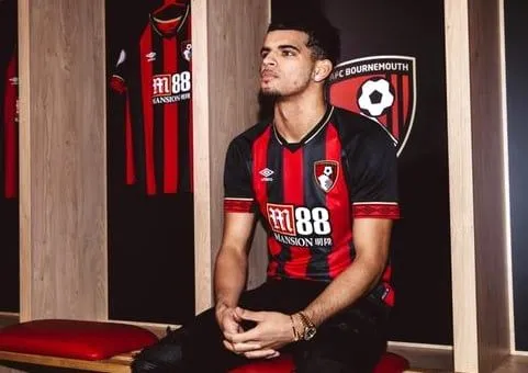 Dominic Solanke Childhood Story Plus Untold Biography Facts