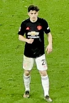Daniel James Childhood Story Plus Untold Biography Facts