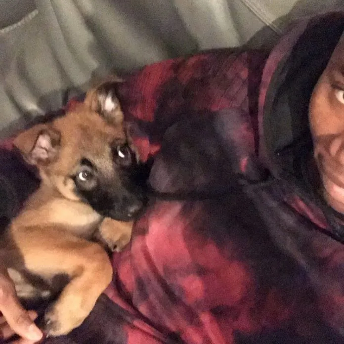 Many footballers love their dog and our very own Diallo isn't an exception. Credit: Thies 24