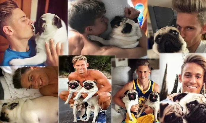 Meet Marcos Llorente's Dogs. Credit: Instagram