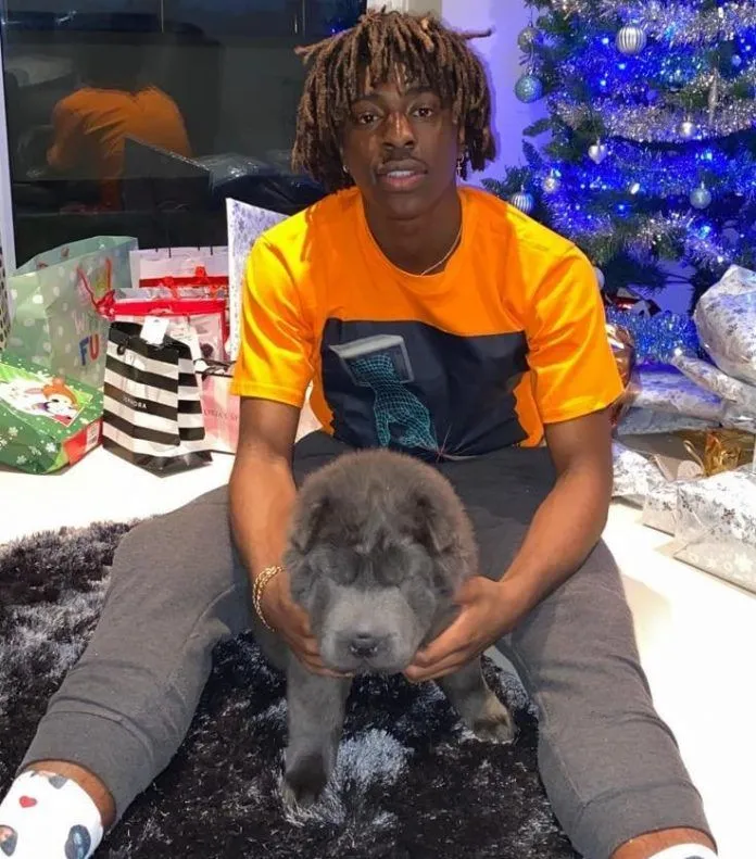 Please contact the player or his parent club whenever you see a stray dog that looks like this in London. IG.