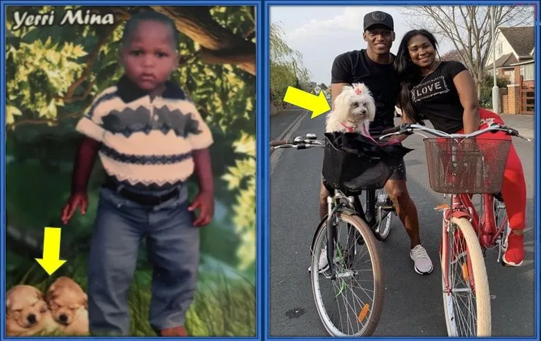 Even while married to Geraldine Molina, Yerry remains a Dog lover.