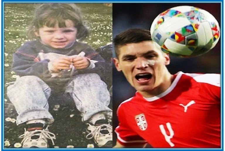 Nikola Milenkovic Childhood Story Plus Untold Biography Facts