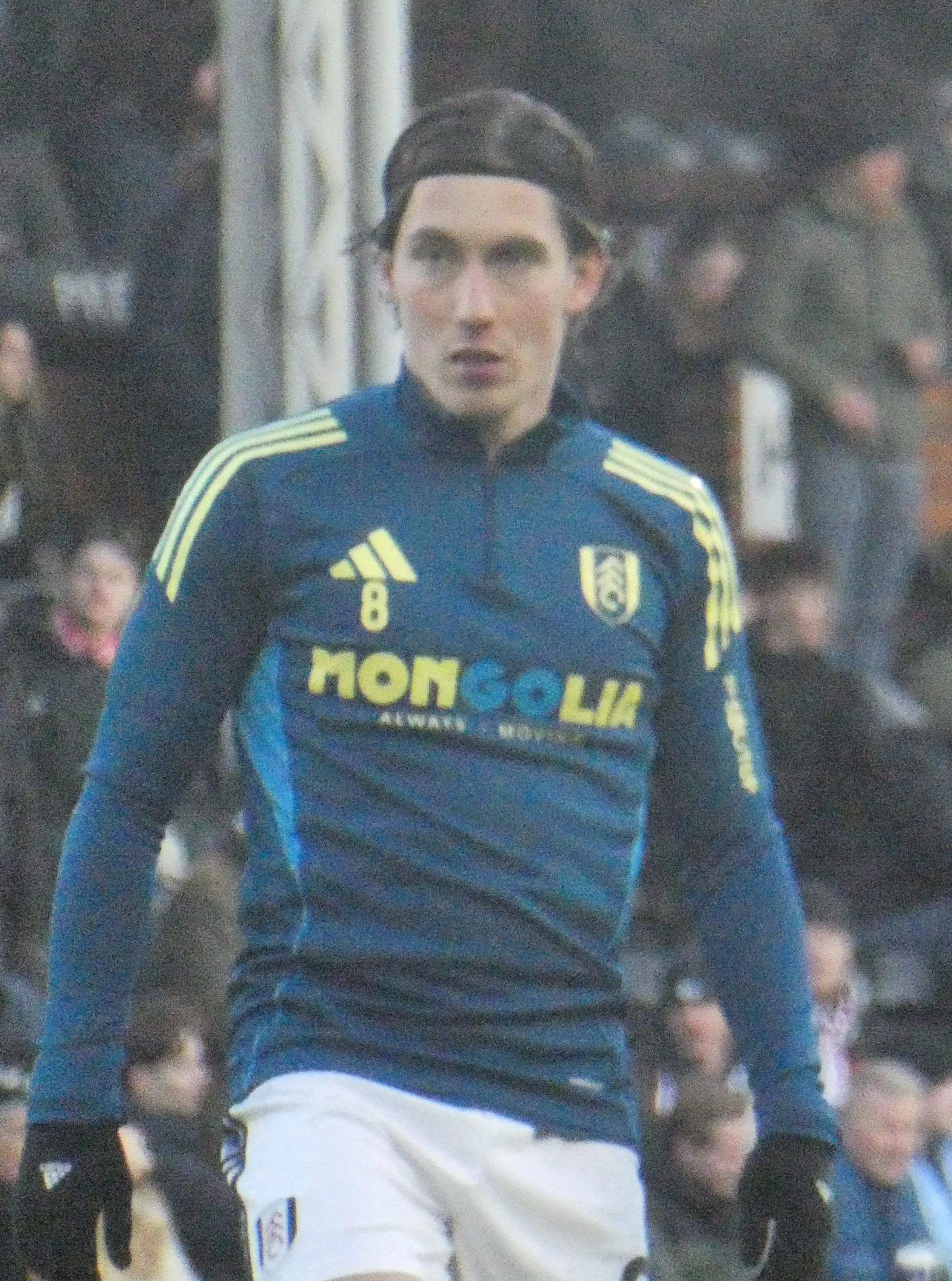 Harry Wilson Childhood Story Plus Untold Biography Facts