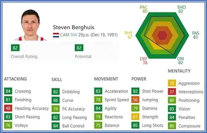 This is how Steven Berghuis' FIFA profile looked when he was 29.