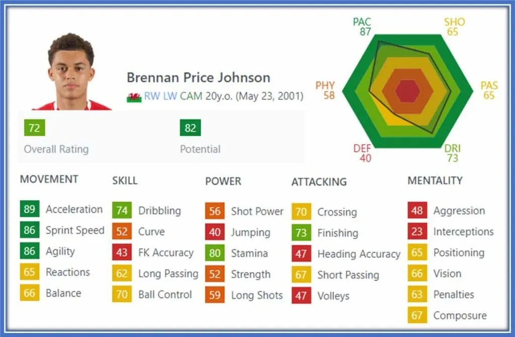 Brennan Johnson Childhood Story Plus Untold Biography Facts