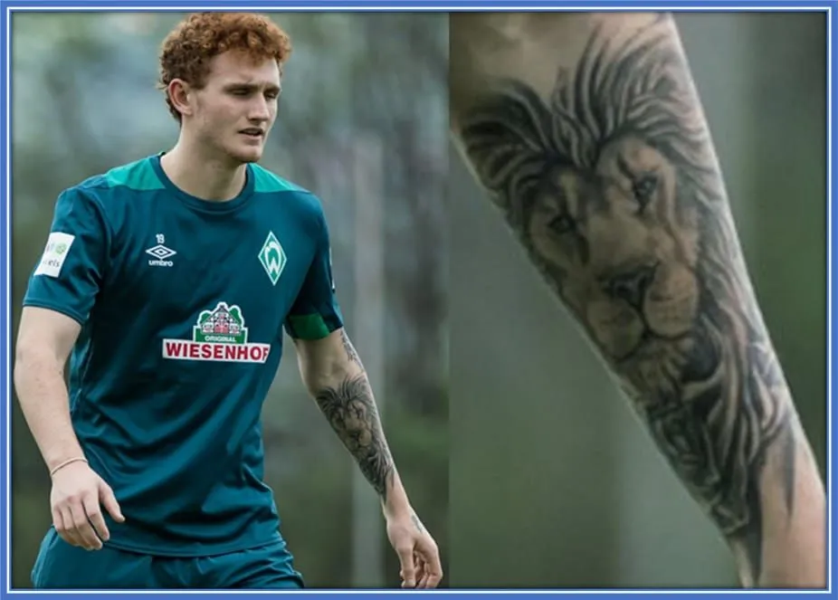 Josh Sargent Tattoo is the face of a lion. 
