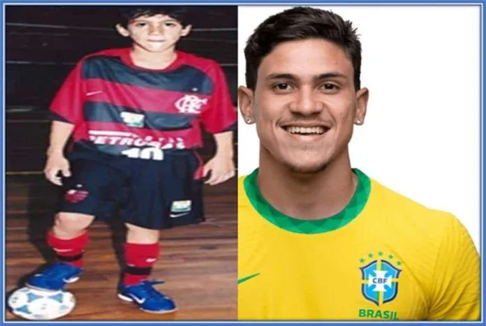 Pedro Guilherme Childhood Story Plus Untold Biography Facts