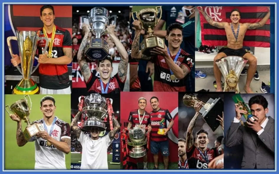 Behold the collections of Pedro Pedro Guilherme trophies.