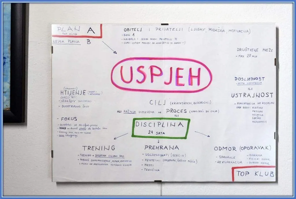 By adhering strictly to this guide, the youngster efficiently managed his career life.