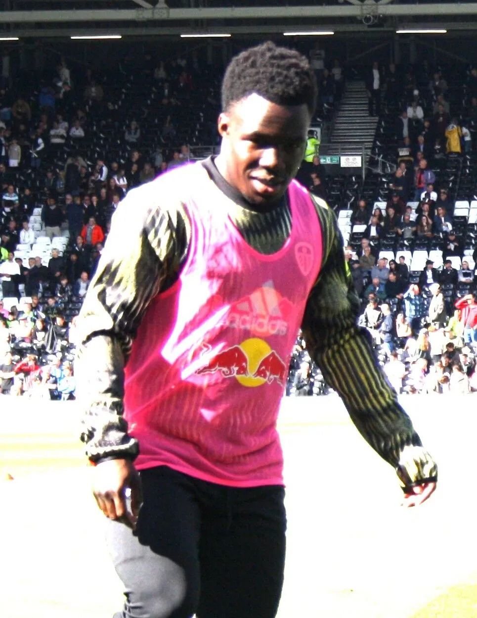 Wilfried Gnonto Childhood Story Plus Untold Biography Facts