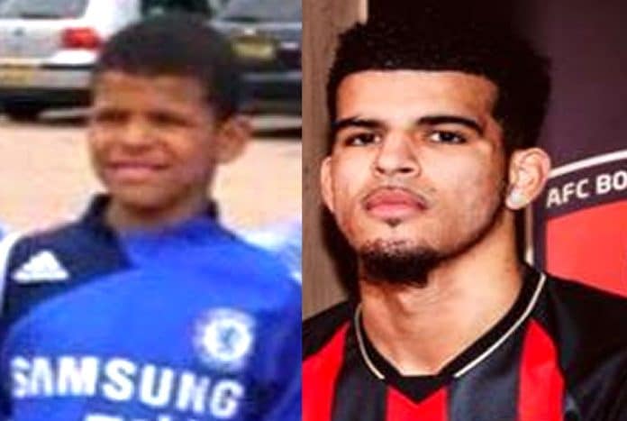Dominic Solanke Childhood Story Plus Untold Biography Facts