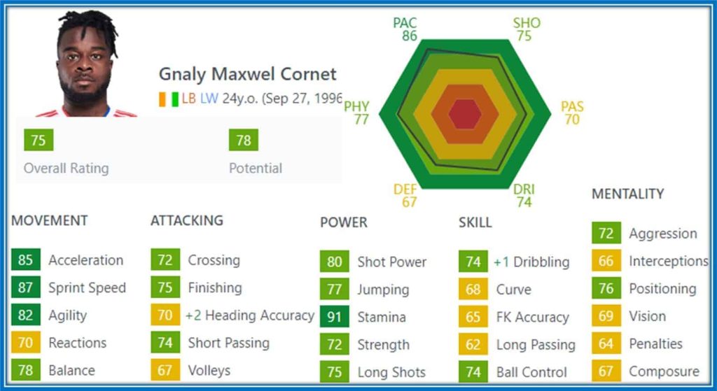 Cornet FIFA Profile - EXPLAINED.