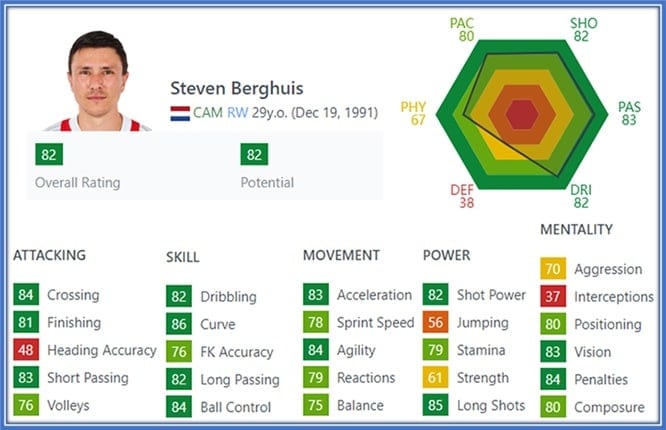 This is how Steven Berghuis' FIFA profile looked when he was 29.