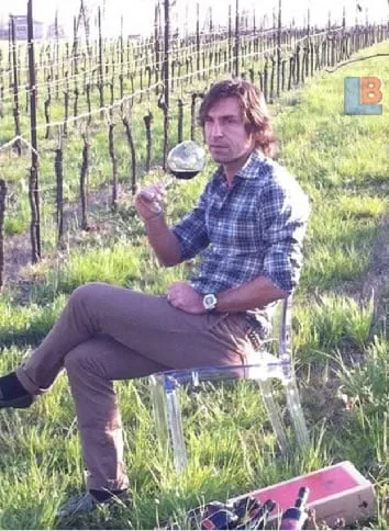 Andrea Pirlo poses in his vineyard with bottles of wines.