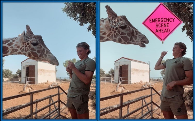 When feeding a Giraffe goes wrong. The Conor Gallagher experience.