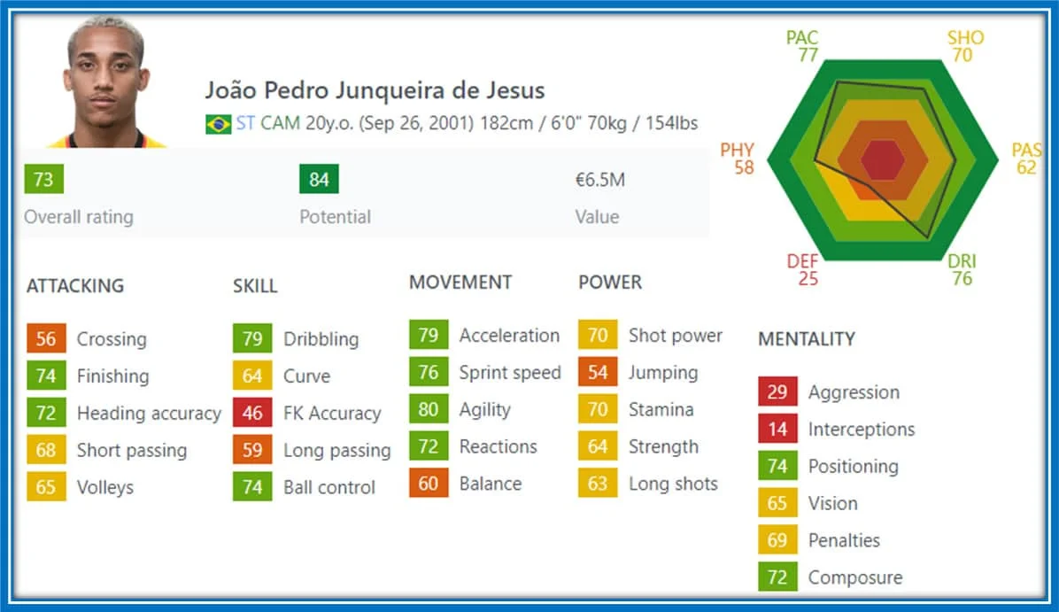 According to his FIFA stats, Agility, Acceleration, Dribbling, Sprint speed, Ball control, etc., are his greatest football strengths. Image credit: Sofifa