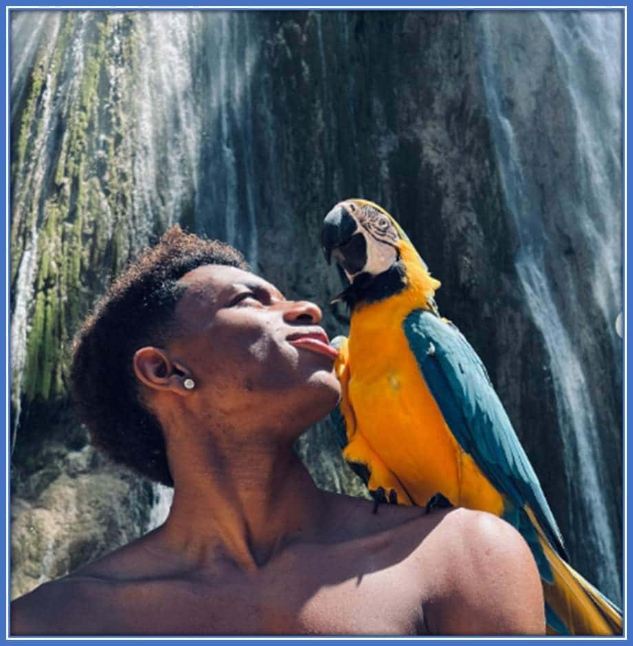 What would likely be on his mind as he communicates alone with the bird and listens to the gentle drips of the waterfall?