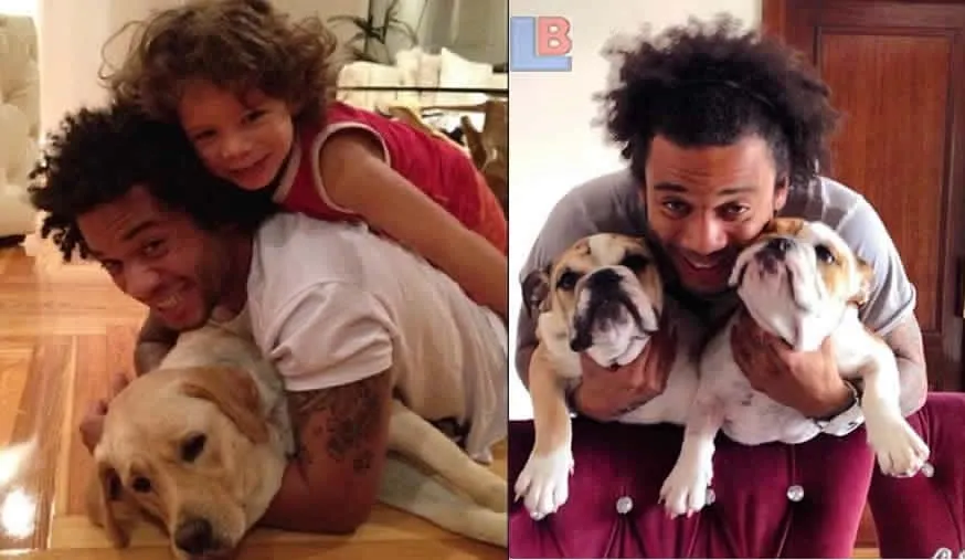 Marcelo's Philosophy of Dogs before Sons- The Untold Story.