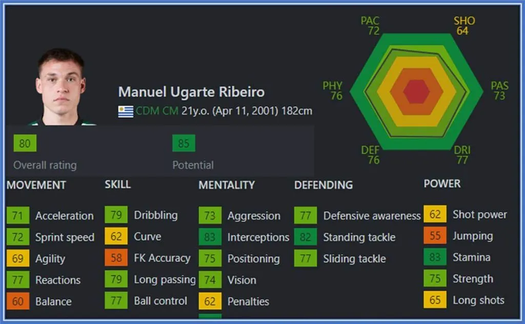 Meet the Maestro of Midfield, whose arsenal of skills includes an abundance of interceptions, standing tackles, and impressive stamina.